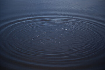 ripples in water