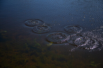water drops on black surface