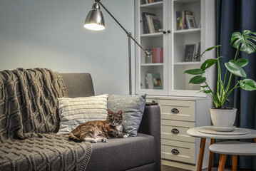 Grey couch with cushions, knitted plaid  and  floor lamp
