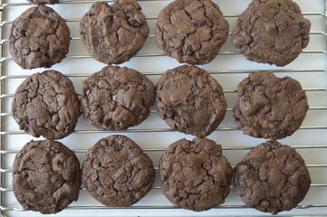 Closeup homemade round chocolate cookies on cake cooler with blurred background in kitchen