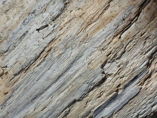 wood, texture, tree, old, brown, wooden, pattern, surface, bark, nature, timber, textured, abstract, rough, wall, plank, material, natural, backgrounds, weathered, board, gray, trunk, structure, grain