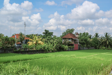  on Bali, Indonesia