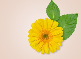 Aroma.