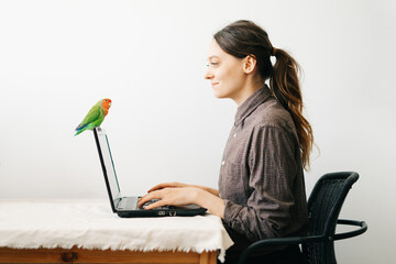 young European woman, working from home during the virus quarantine, on her laptop.a small green lovebird parrot sits on a laptop monitor.A cosy working place,the concept of remote work. freelance