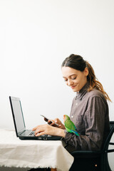 Naklejka premium young European woman, working from home during the virus quarantine, on her laptop.a small green lovebird parrot sits on a laptop monitor.A cosy working place,the concept of remote work. freelance