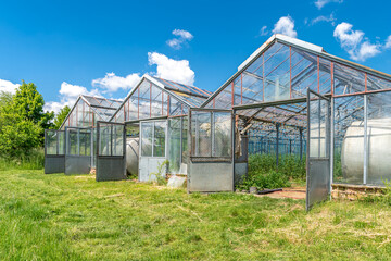 Fototapeta na wymiar greenhouse on the farm for growing healthy vegetables without chemistry in organic quality