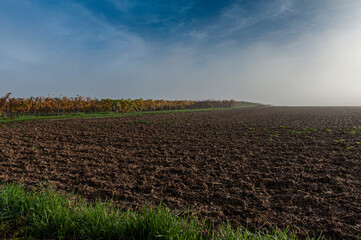 Herbstlandschaft und Weinberge