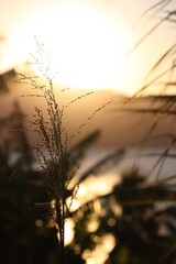 sunset in the mountains