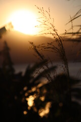 sunset in the mountains