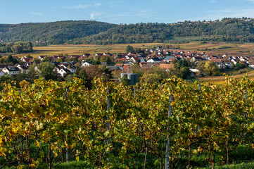 Fototapeta na wymiar Herbstlandschaft und Weinberge
