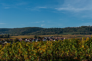 Herbstlandschaft und Weinberge