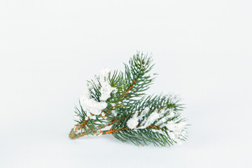 Christmas tree decoration