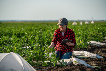 A woman farmer with digital tablet on a potato field. Smart farming and digital transformation in...