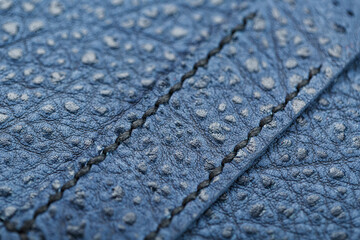 Texture blue leather closeup on a black background.