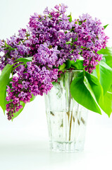 Bouquet of lilacs in a glass vase on a white background, isolated. Vertical format.