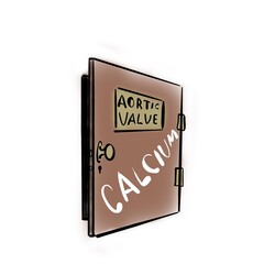 Calcium on the aortic valve