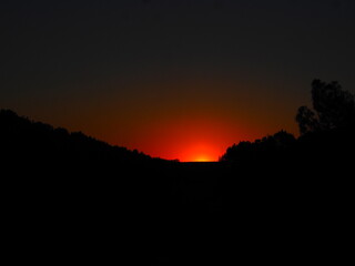 Orange Sunset in the forest