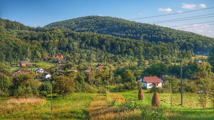 Fototapety na wymiar - Fototapeta24.pl