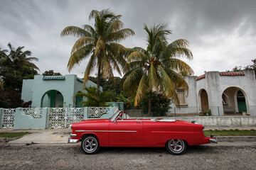 Old car on streets of Havana with beatiful palm trees in background. Cuba