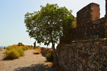 Sagunto Roman Castle, Valencia Spain