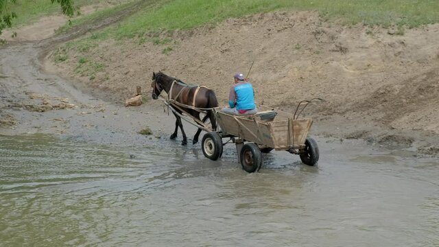 Horse with a cart and coachman. Drink from river afther moving across the river