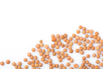 lentils close-up. green lentils. delicious lentils. lentil seeds