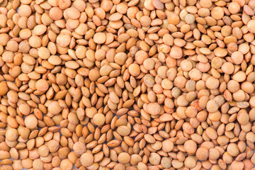 lentils close-up. green lentils. delicious lentils. lentil seeds