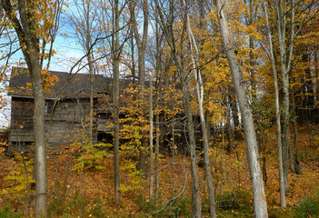 Abandoned Vermont wood shack surrounded by autumn trees