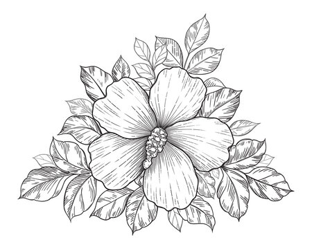 Hand Drawn Floral  Composition with Hibiscus Flower