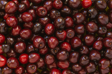 red cherries background