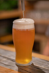 glass of beer on wooden table