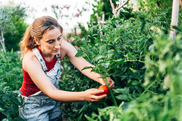 Portrait of a peasant girl in her organic garden picking vegetables. The girl spends her free time...