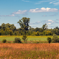 Fototapeta premium autumn nature in the Forest steppe part of Russia