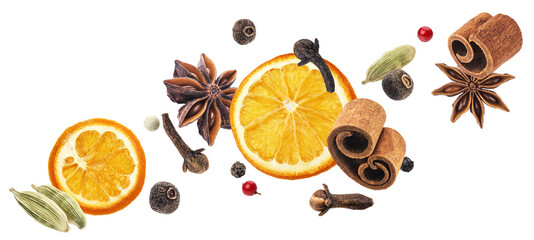 Aromatic spices collection, igredients for mulled wine isolated on white background