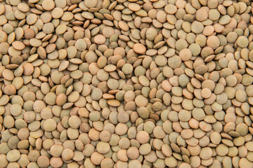 Background of green lentils