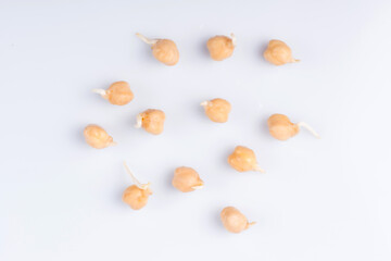 nut krupnym planom. nut na belom fone