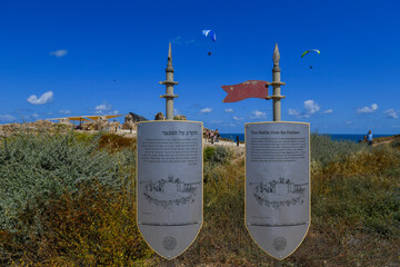 Templiers Flags in Apolnia NP, Israel