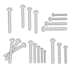 A set of screws for construction. Vector image