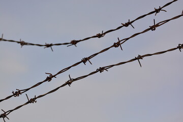 Fototapeta na wymiar barbed wire and sky