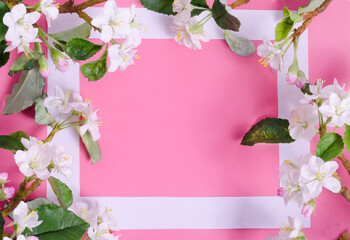 Fototapeta premium Background postcard with a frame of blooming apple tree branches on a pink background with copy space. Flat lay. Greeting card for Mother's Day, birthday. For summer texts. Flower arrangement