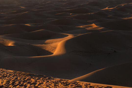 Sunset over Erg Chegaga, Morocco. Erg Chegaga (or Chigaga) is one of two major Saharan ergs in Morocco. This dunes are located in the Souss-Massa-Draa area, 98 km south of the town of Zagora
