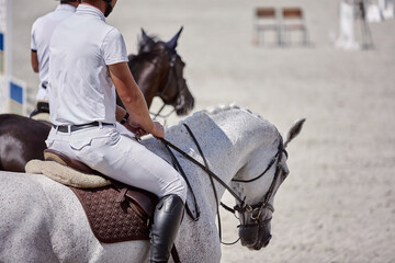 Gray horse performs in show jumping competitions