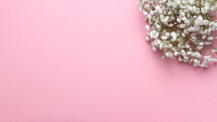 Baby's breath flowers on a pink background, wedding design, greetings  cards, mock up.