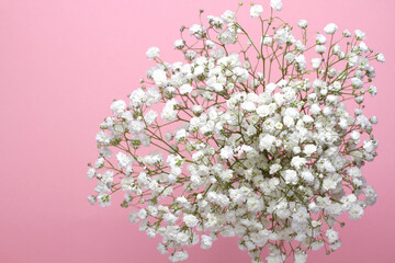 A bouquet of Baby's breath flowers on a pink background, close-up. Wedding design, greetings, invitations, Wallpapers.