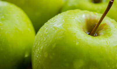 Green apples close up