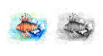 Aquarelle painting of fish sketch art illustration