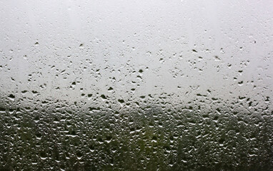 Raindrops on the window pane outside the window you can see the green forest and gray sky