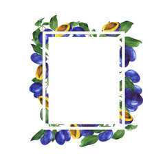 Fresh blue plum border with green leaves and berries on white background. Hand drawn watercolor illustration.