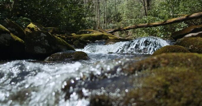 Appalachian stream in the Shining Rock Wilderness, Western North Carolina