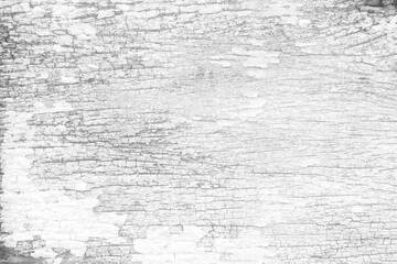 White Wooden Board Texture Background, Suitable for Presentation, Backdrop and Web Templates with Space for Text.